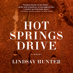 book cover for Hot Springs Drive