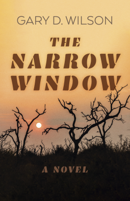 book cover for The Narrow Window