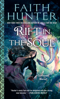 book cover for Rift in the Soul