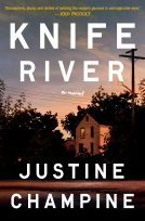book cover for Knife River