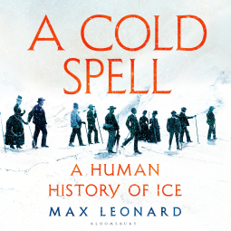 book cover for A Cold Spell