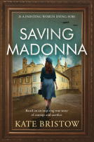 book cover for Saving Madonna