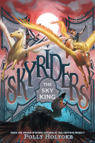 book cover for The Sky King