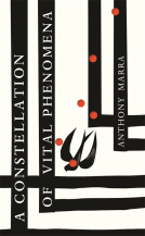 book cover for A Constellation of Vital Phenomena