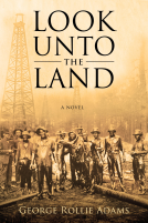 book cover for Look Unto the Land