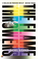 book cover for The Flamethrowers