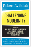 book cover for Challenging Modernity