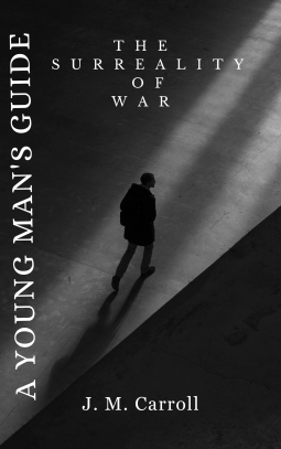 book cover for A Young Man's Guide To The Surreality of War