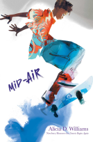 book cover for Mid-Air