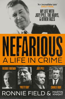 book cover for Nefarious