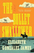 book cover for The Bullet Swallower