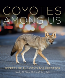 book cover for Coyotes Among Us