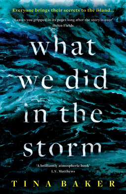 book cover for What We Did In The Storm