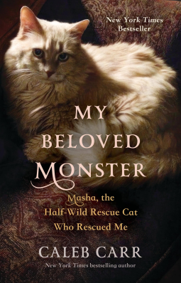 book cover for My Beloved Monster