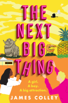 book cover for The Next Big Thing