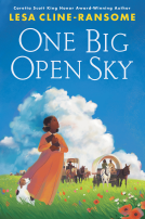 book cover for One Big Open Sky