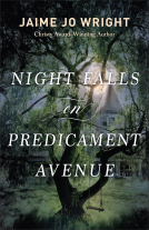 book cover for Night Falls on Predicament Avenue