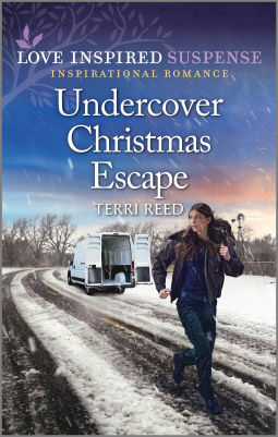 book cover for Undercover Christmas Escape