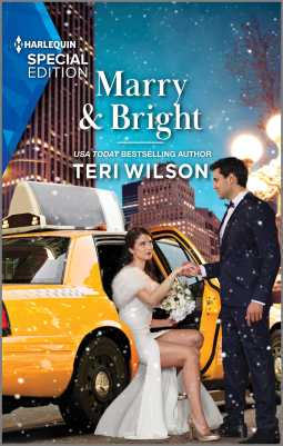 book cover for Marry & Bright