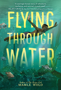 book cover for Flying Through Water