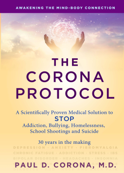 book cover for The Corona Protocol