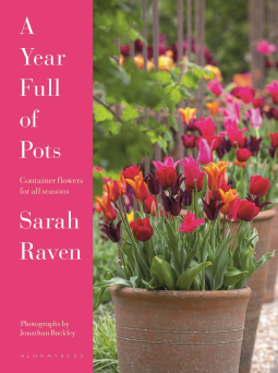 book cover for A Year Full of Pots