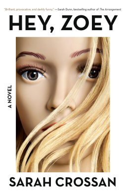 book cover for Hey, Zoey