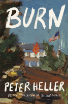 book cover for Burn