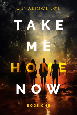 book cover for TAKE ME HOME NOW 1