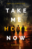 book cover for TAKE ME HOME NOW 1
