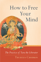 book cover for How to Free Your Mind