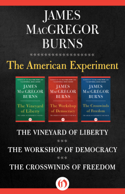 book cover for The American Experiment