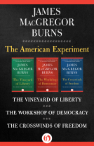 book cover for The American Experiment