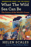 book cover for What the Wild Sea Can Be