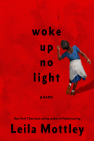 book cover for woke up no light
