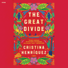 book cover for The Great Divide