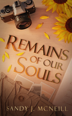 book cover for Remains of our Souls