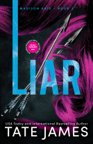 book cover for Liar