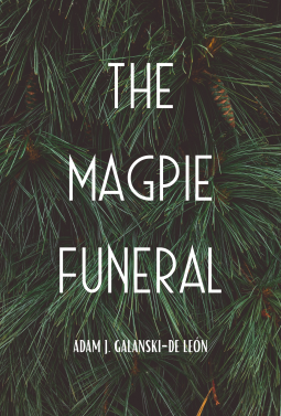 book cover for The Magpie Funeral