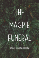book cover for The Magpie Funeral