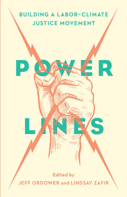 book cover for Power Lines