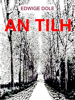 Couverture du livre pour An tilh