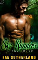 book cover for Sky Runners