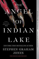 book cover for The Angel of Indian Lake