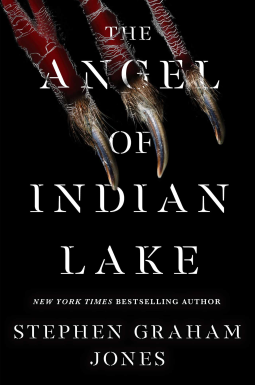 book cover for The Angel of Indian Lake