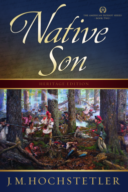 book cover for Native Son