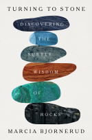 book cover for Turning to Stone