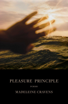 book cover for Pleasure Principle