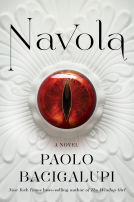 book cover for Navola