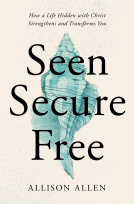 book cover for Seen, Secure, Free